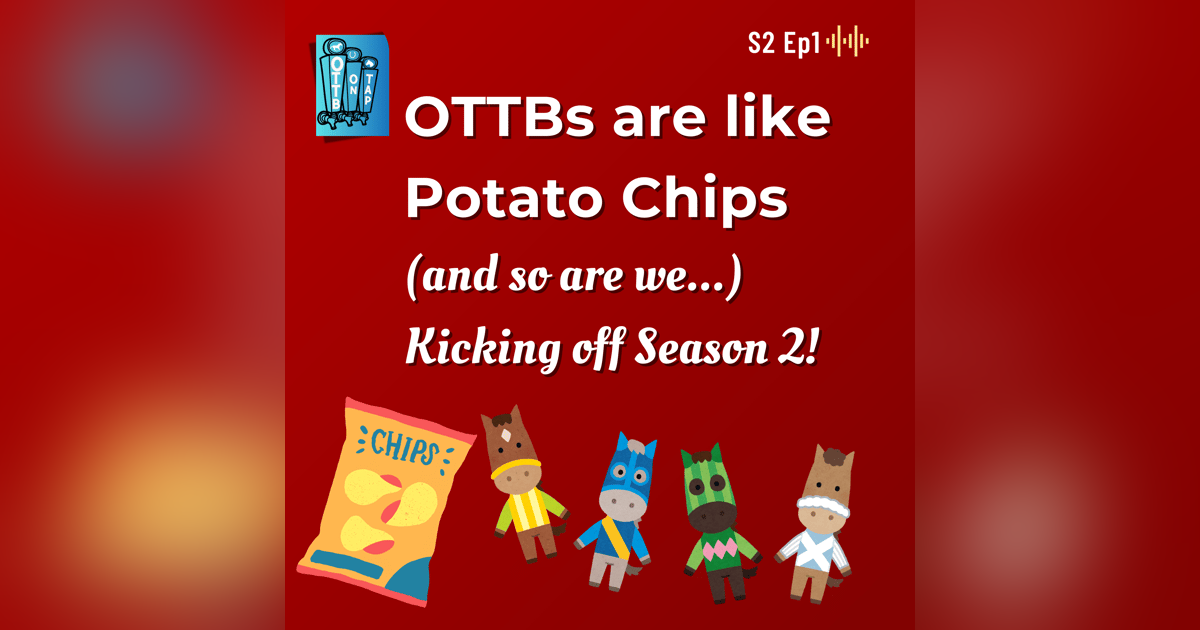 S2 Ep1: OTTBs are like Potato Chips, and so are we! Kicking off Season 2! S2 Ep1: OTTBs are like Potato Chips, and so are we! Kicking off Season 2!
