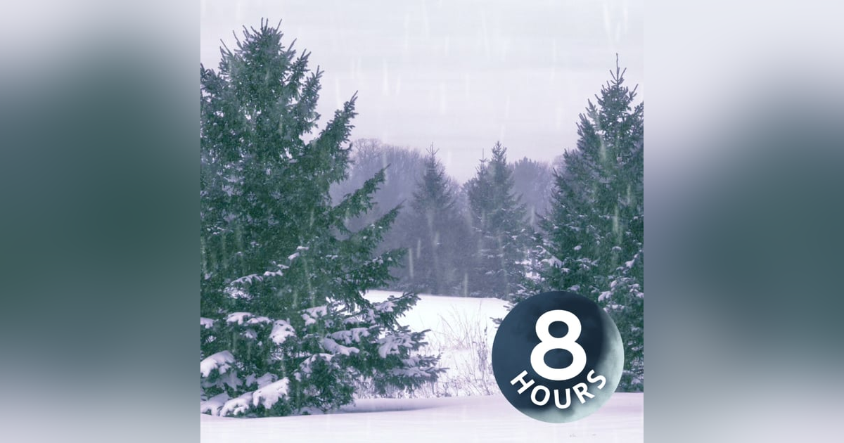 Winter Snowstorm White Noise 8 Hours | Snowfall and Wind Sounds Winter Snowstorm White Noise 8 Hours | Snowfall and Wind Sounds