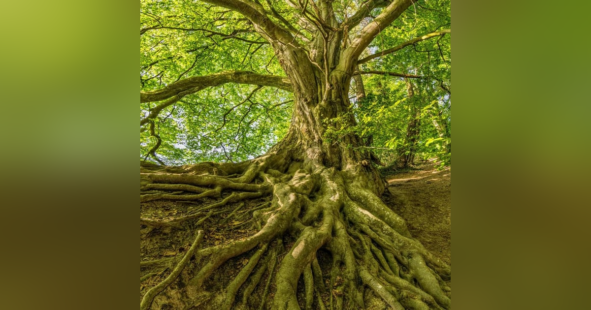 Lo que nunca cambia: Errores que debes evitar Lo que nunca cambia: Errores que debes evitar