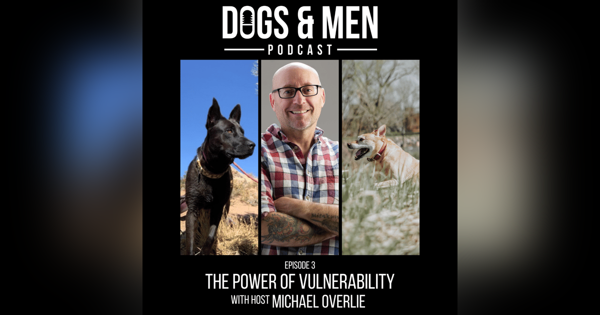 The Power of Vulnerability The Power of Vulnerability