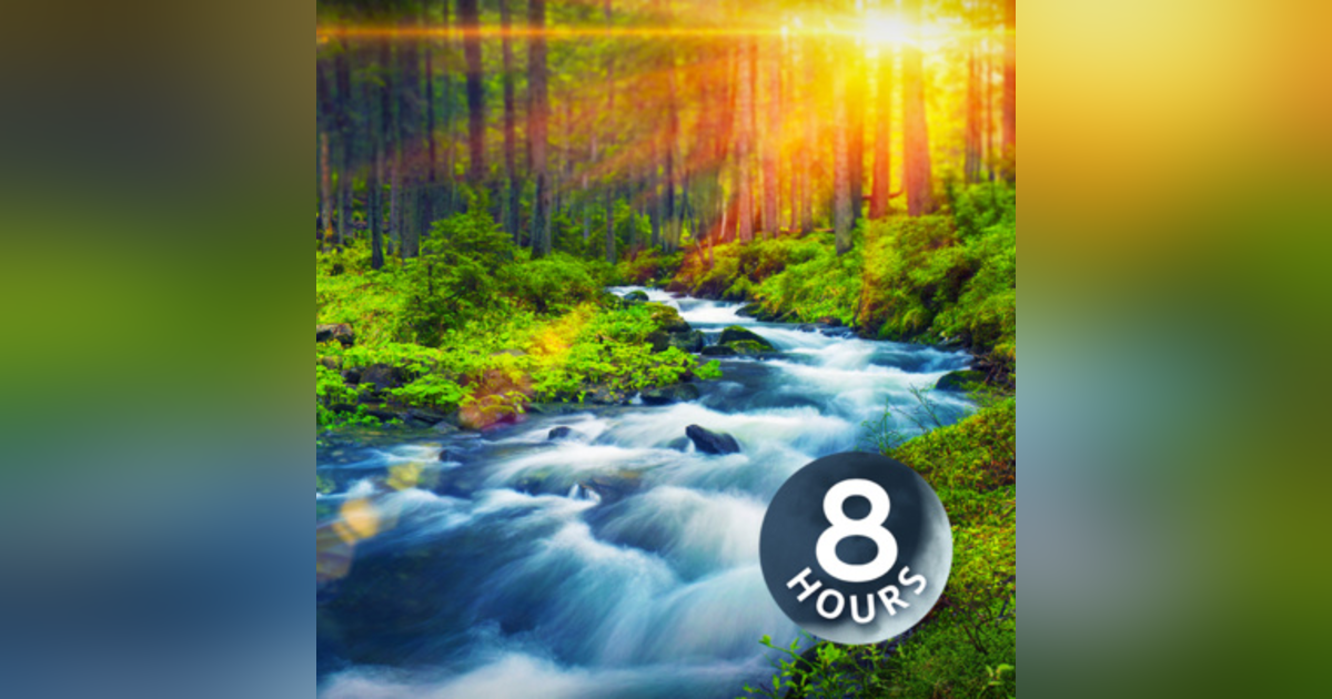 Forest River Peaceful Sounds for Relaxation, Sleep or Studying 8 Hours | White Noise Nature Forest River Peaceful Sounds for Relaxation, Sleep or Studying 8 Hours | White Noise Nature