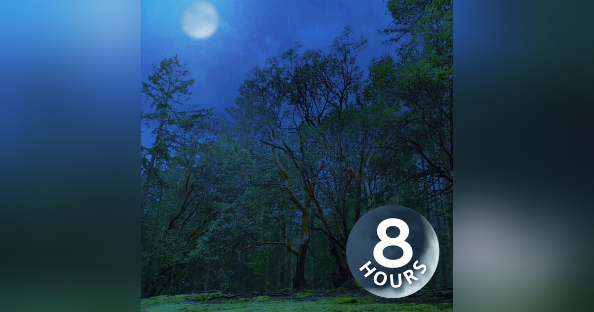 Nighttime Rain in the Woods | 8-Hour Dark Screen Sleep Ambience Nighttime Rain in the Woods | 8-Hour Dark Screen Sleep Ambience