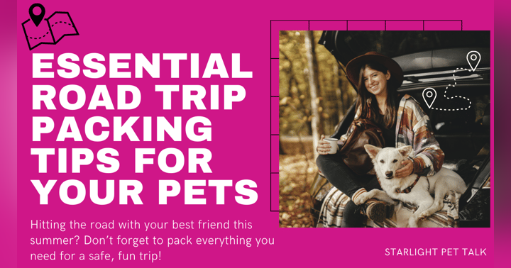 image for Essential Packing List for Road Trips with Pets