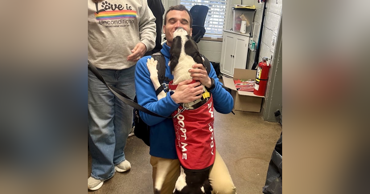 How much do dogs reduce our stress? How much do dogs reduce our stress?