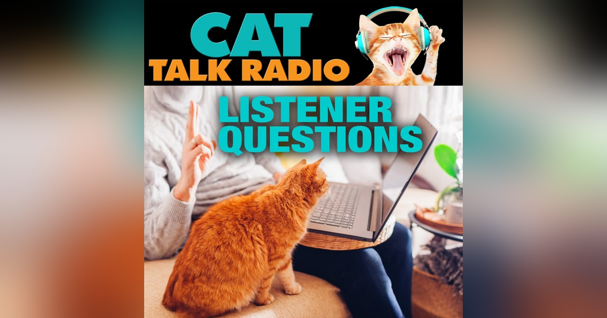 Listener Questions: Pirate Cats, Harness Protests & Toy Treasures Listener Questions: Pirate Cats, Harness Protests & Toy Treasures