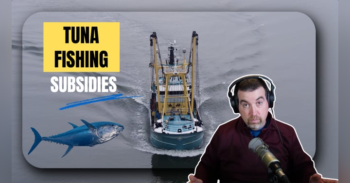 image for The Hidden Costs of Seafood: Who Really Pays for “Sustainable” Tuna?