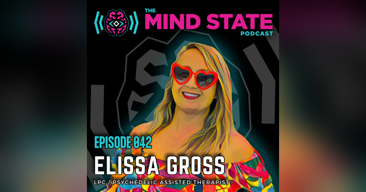 042 - Elissa Gross on Psychedelic Healing, Understanding Suicidality, and Emotional Transformation 042 - Elissa Gross on Psychedelic Healing, Understanding Suicidality, and Emotional Transformation