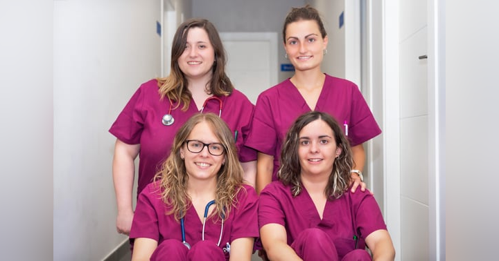 image for How Pet Parents Can Support Veterinary Staff