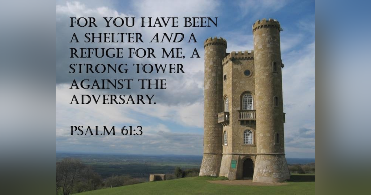 How Do We Take Refuge in the Lord? Psalms 11 #100 How Do We Take Refuge in the Lord? Psalms 11 #100
