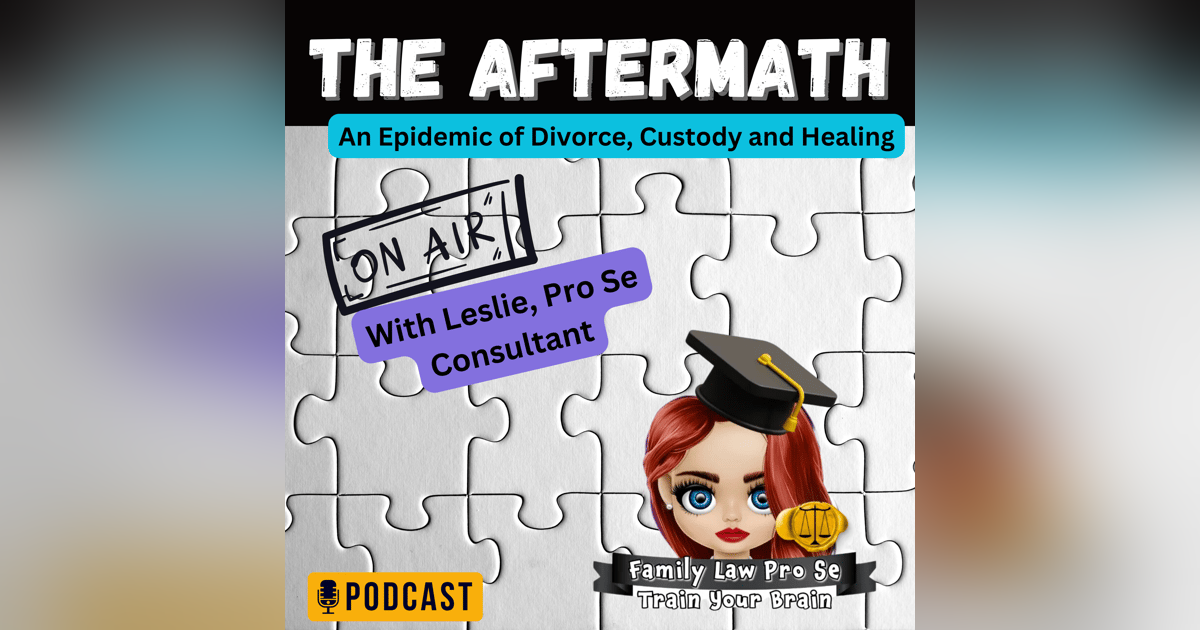 Be Your Own Lawyer During Your Custody Case with Leslie Alexi Be Your Own Lawyer During Your Custody Case with Leslie Alexi