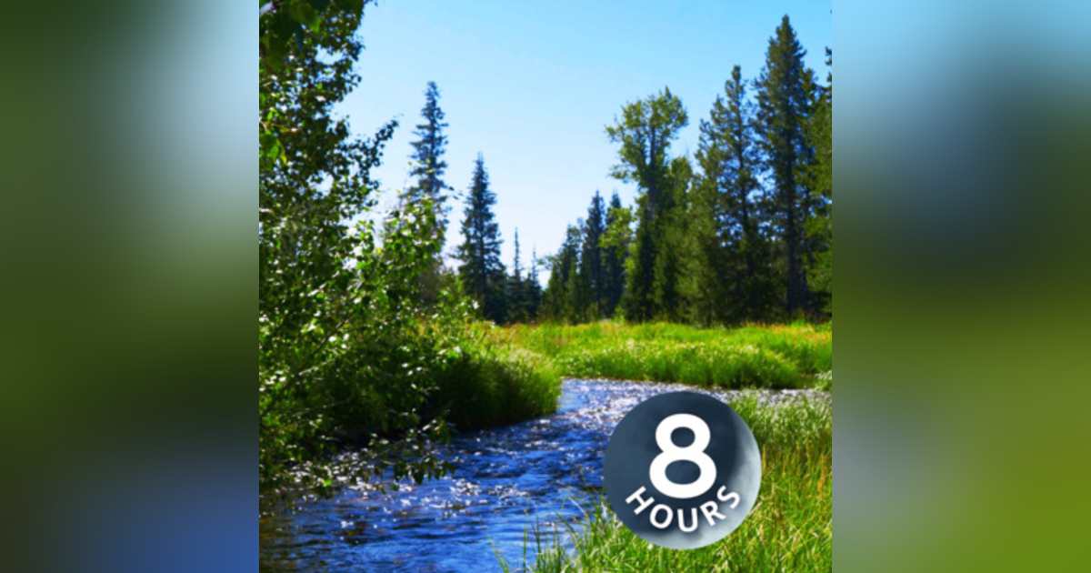 Water Sounds Alpine Creek | Relax, Study or Sleep with Nature White Noise 8 Hours Water Sounds Alpine Creek | Relax, Study or Sleep with Nature White Noise 8 Hours
