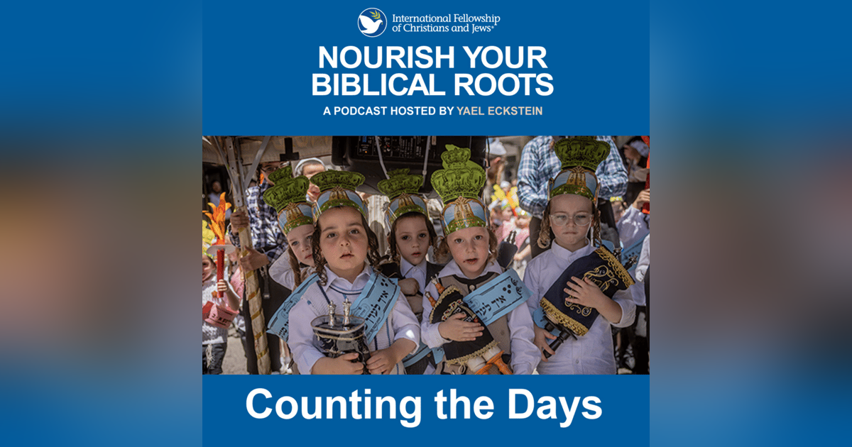 Counting the Days Counting the Days