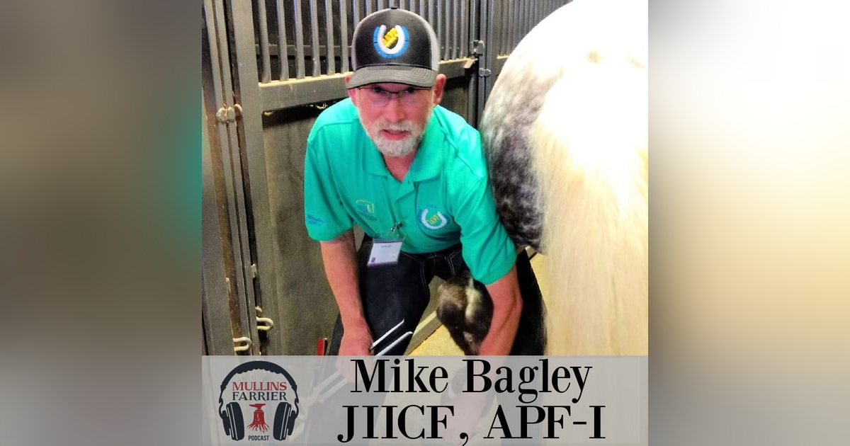 Mike Bagley JIICF, APF-I Mike Bagley JIICF, APF-I