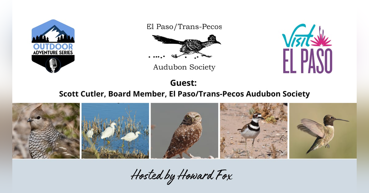 Bird Watching Adventures with Scott Cutler and the El Paso/Trans-Pecos Audubon Society Bird Watching Adventures with Scott Cutler and the El Paso/Trans-Pecos Audubon Society