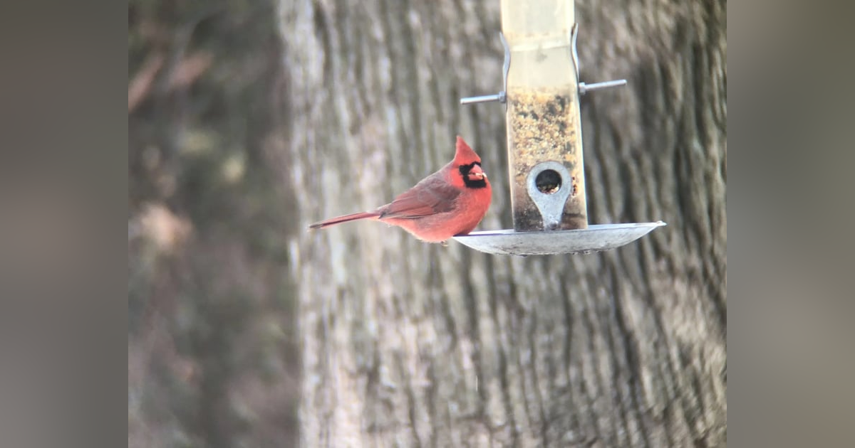 Ep 47: The Source and the Seed Ep 47: The Source and the Seed