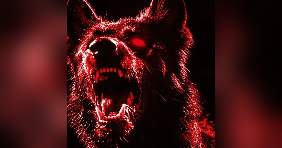 PERRO DEL INFIERNO De Apariencia Humana Historias De Terror - REDE PERRO DEL INFIERNO De Apariencia Humana Historias De Terror - REDE