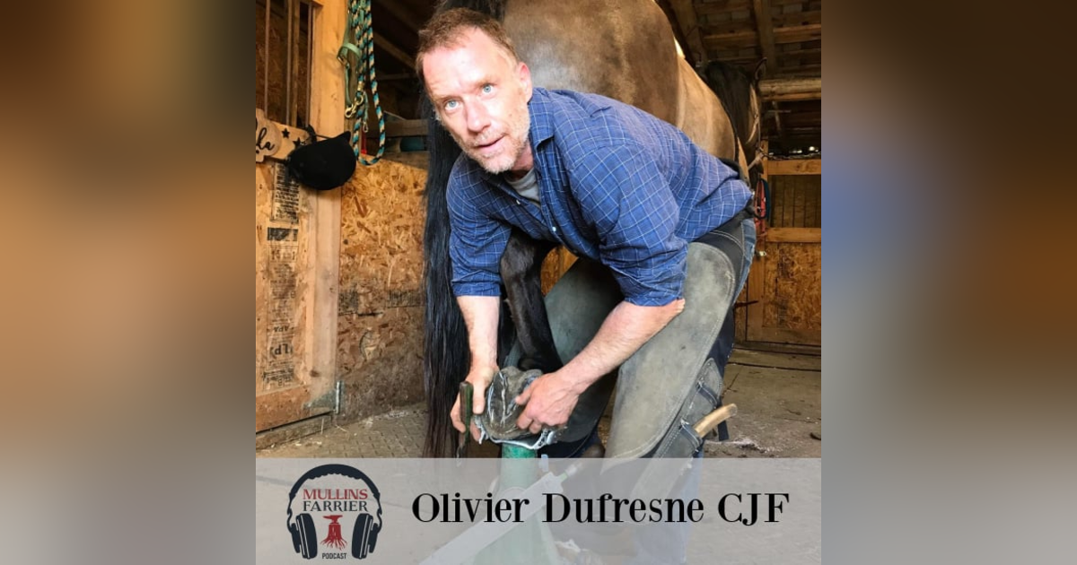 Olivier Dufresne CJF Olivier Dufresne CJF