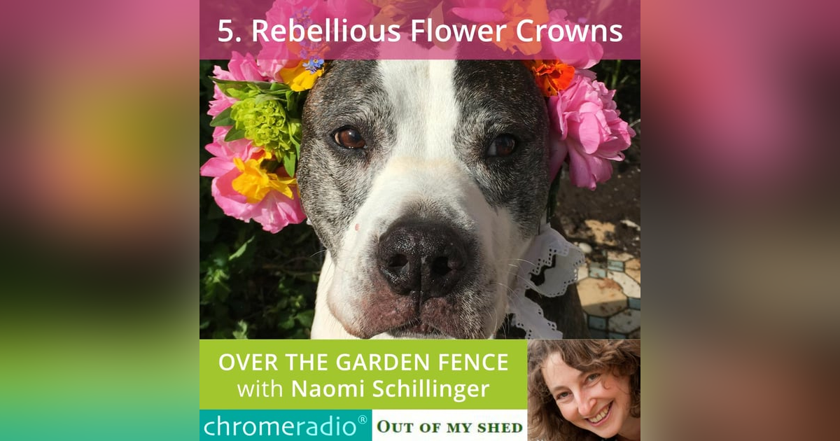 OVER THE GARDEN FENCE 5 | Rebellious Flower Crowns OVER THE GARDEN FENCE 5 | Rebellious Flower Crowns