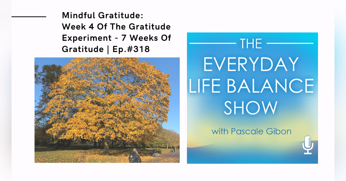 Episode 318: Mindful Gratitude - Week 4 Of The Gratitude Experiment - 7 Weeks Of Gratitude Episode 318: Mindful Gratitude - Week 4 Of The Gratitude Experiment - 7 Weeks Of Gratitude
