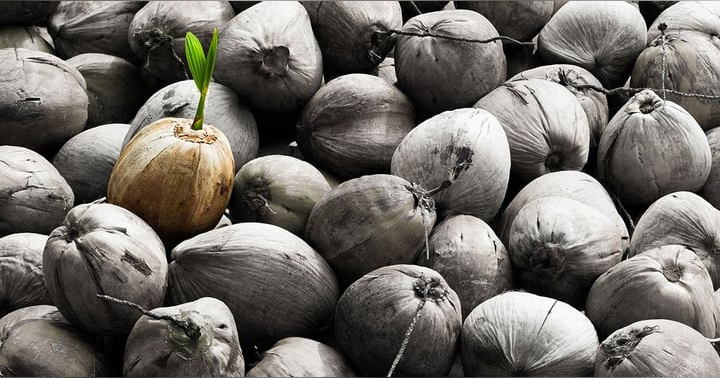 image for Differentiate or Die: Navigating the Landscape of Higher Education