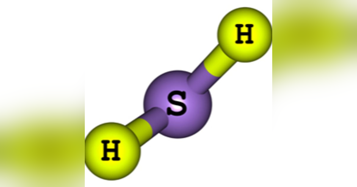 WIALD : Breath Hydrogen Sulfide Testing WIALD : Breath Hydrogen Sulfide Testing