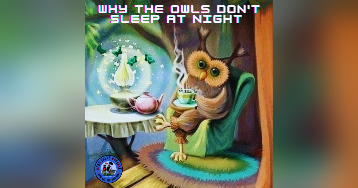 Why the Owls don't sleep at Night Why the Owls don't sleep at Night