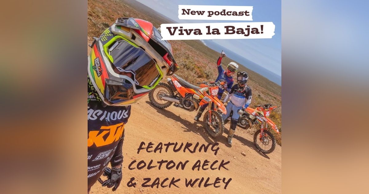 Viva La Baja! Viva La Baja!