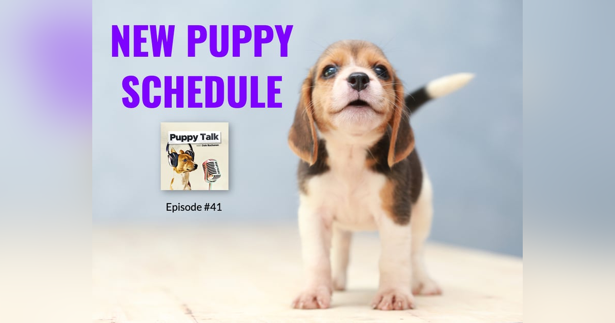 New Puppy Schedule New Puppy Schedule