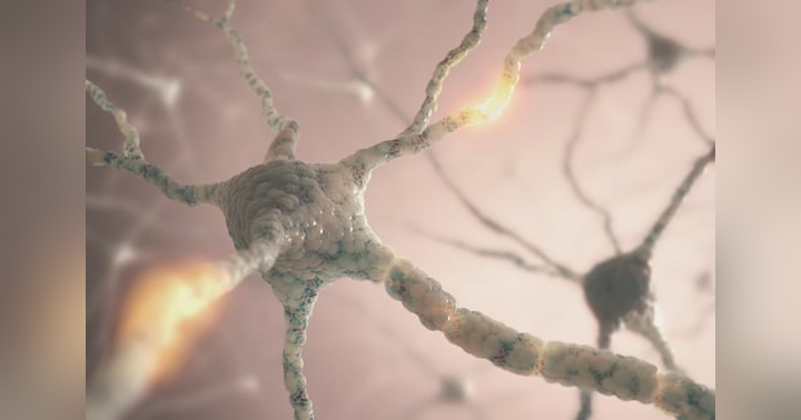 image for Unleashing the Power of Neuroplasticity with Optimal You Health & Wellness