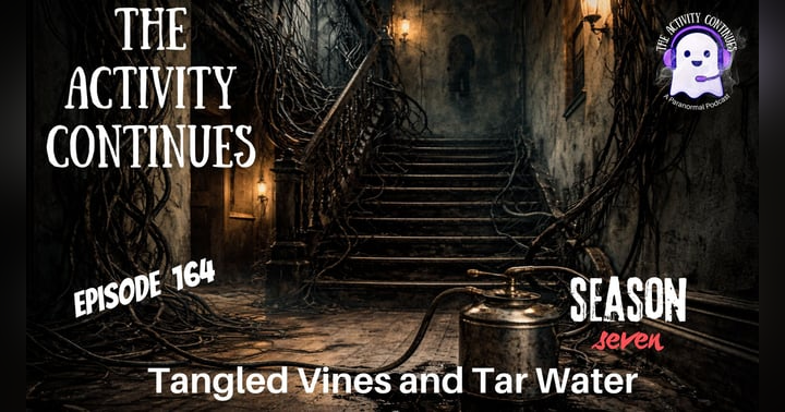 image for When History Becomes the Haunting