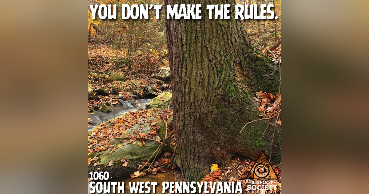 A Western Pennsylvania Energy Worker Shares Her Years of Sasquatch Encounters A Western Pennsylvania Energy Worker Shares Her Years of Sasquatch Encounters