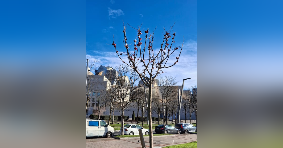 Releasing Stress When Chronic Pain and Trauma Change How I Move Releasing Stress When Chronic Pain and Trauma Change How I Move