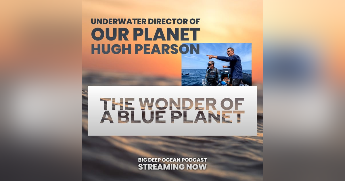 The Wonder of a Blue Planet: Hugh Pearson on filming iconic scenes from the oceans of our world The Wonder of a Blue Planet: Hugh Pearson on filming iconic scenes from the oceans of our world
