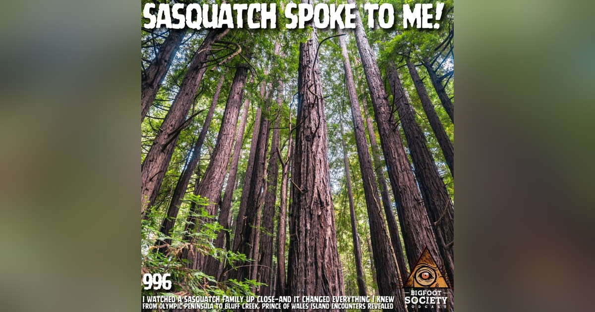 Logger Encounters Sasquatch on the Olympic Peninsula and Realizes They Are Intelligent | Archives Logger Encounters Sasquatch on the Olympic Peninsula and Realizes They Are Intelligent | Archives