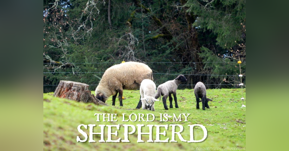 How is the Lord My Shepherd? #108 #Psalm23 How is the Lord My Shepherd? #108 #Psalm23