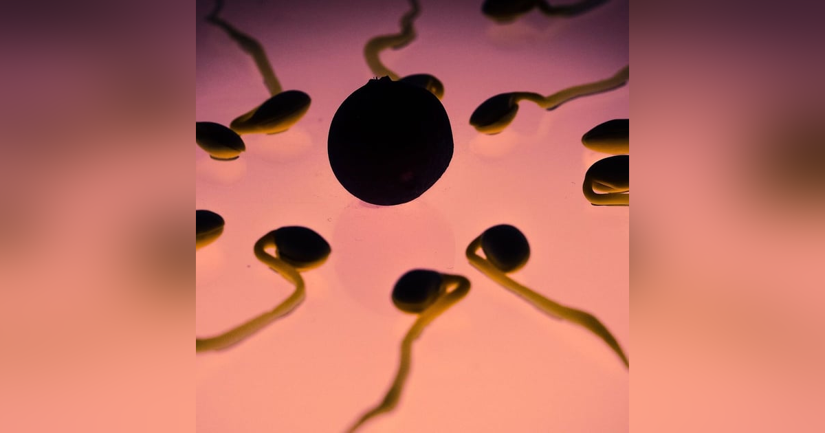 Las noticias de Herrero: Un donante de semen con una mutación genética cancerígena ha engendrado 197 niños en Europa Las noticias de Herrero: Un donante de semen con una mutación genética cancerígena ha engendrado 197 niños en Europa