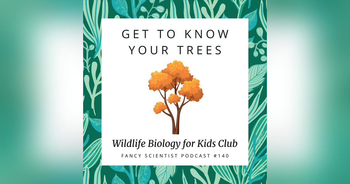 Get to Know Your Trees | Wildlife Biology for Kids Club Get to Know Your Trees | Wildlife Biology for Kids Club