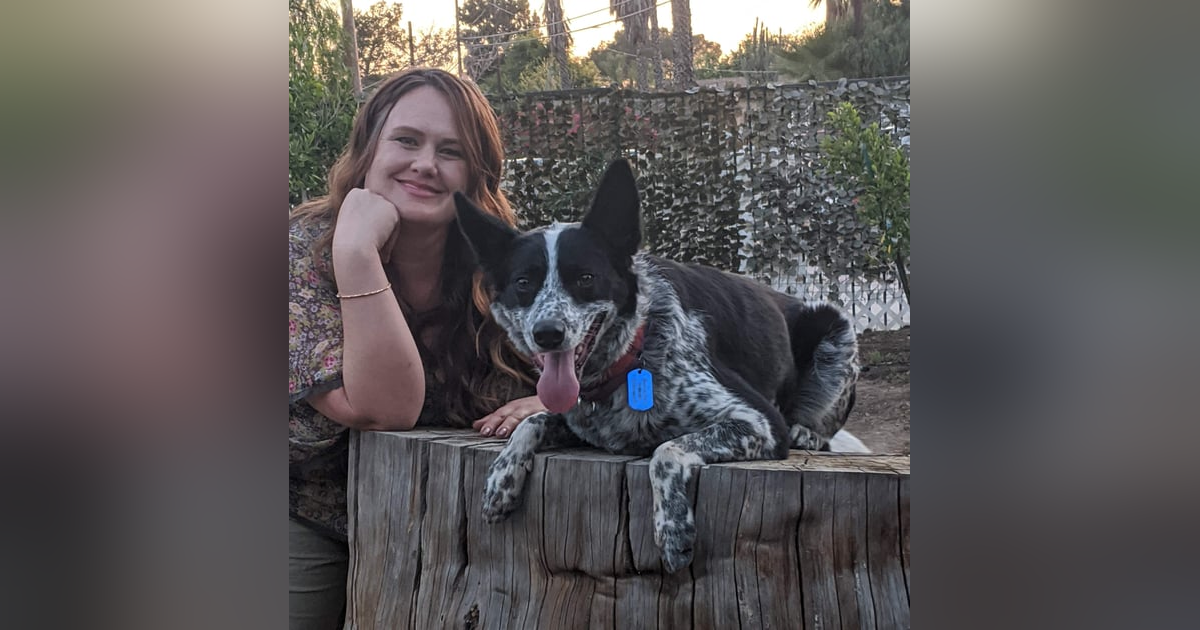 Missing-Pet Recovery with Expert Tracker, Annalisa Berns Missing-Pet Recovery with Expert Tracker, Annalisa Berns