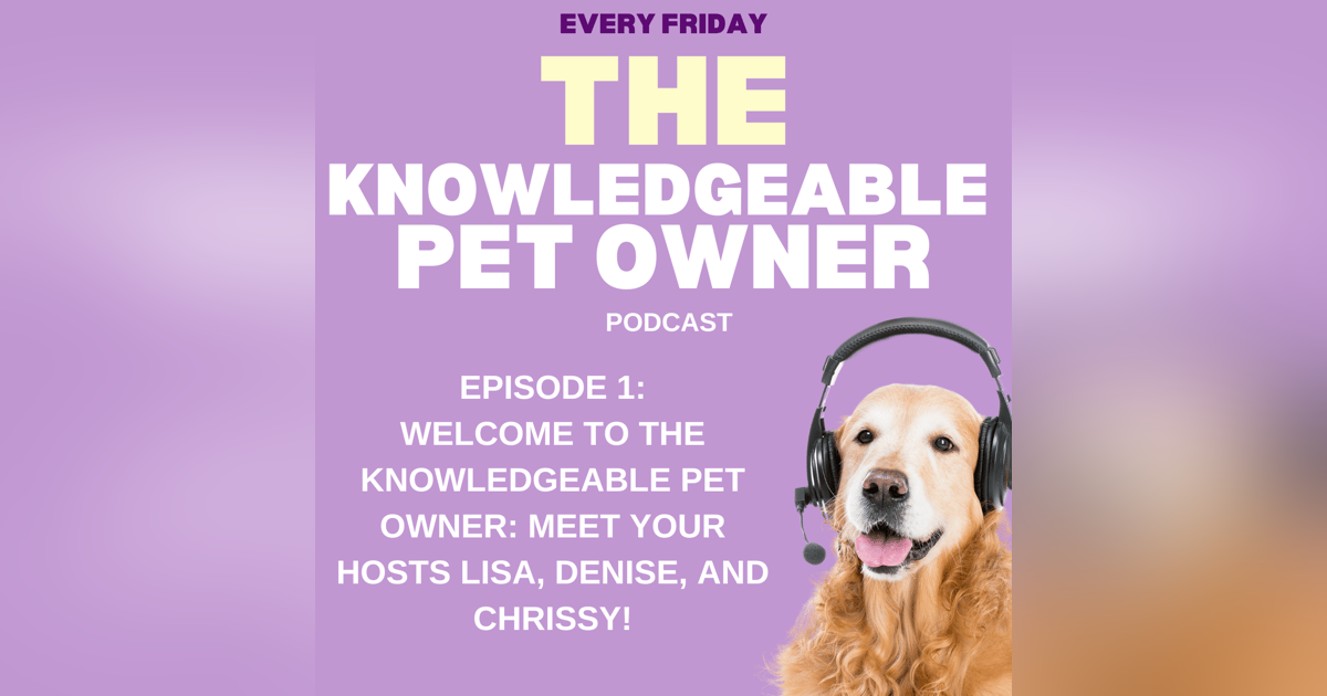 Welcome to The Knowledgeable Pet Owner: Meet Your Hosts Lisa, Denise, and Chrissy! Welcome to The Knowledgeable Pet Owner: Meet Your Hosts Lisa, Denise, and Chrissy!