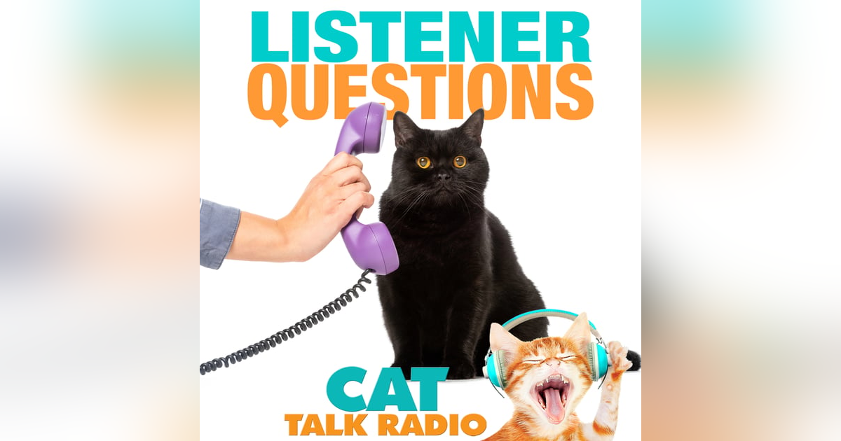 Listener Questions Listener Questions