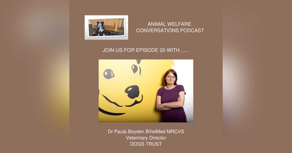 Episode 20 - Dr Paula Boyden - Dogs Trust Episode 20 - Dr Paula Boyden - Dogs Trust