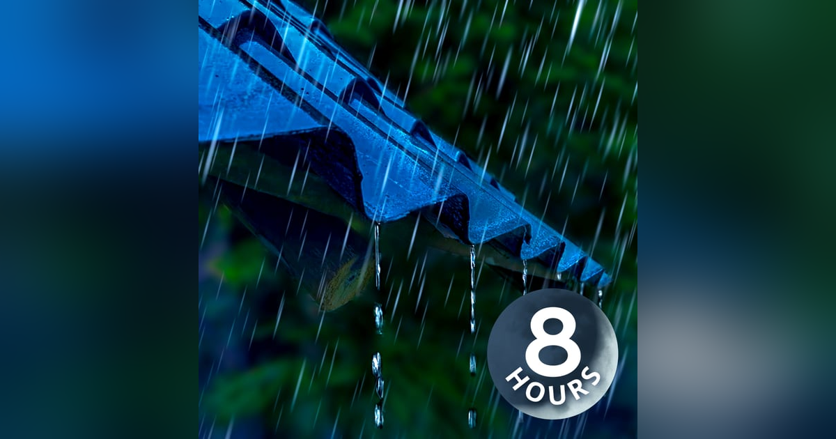 Fall Asleep with the Sounds of Rain on a Tin Roof | 8 Hours Fall Asleep with the Sounds of Rain on a Tin Roof | 8 Hours