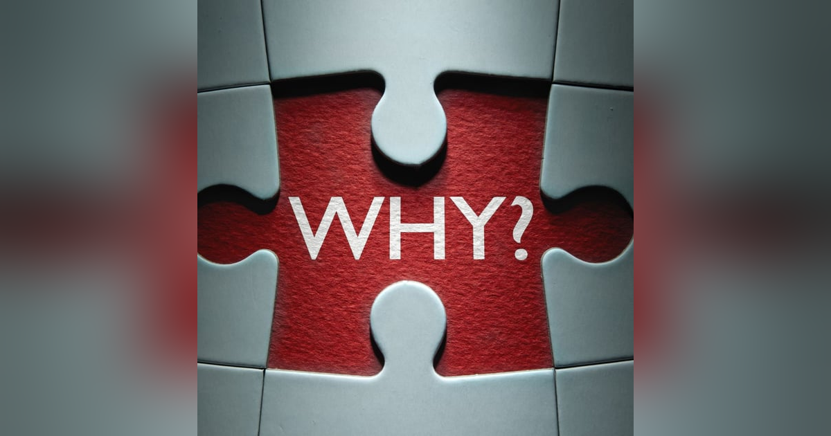 Why You Do What You Do? Why You Do What You Do?