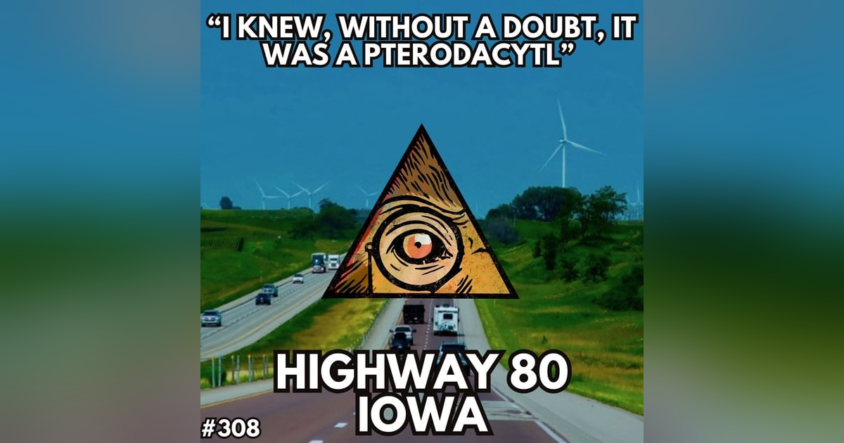 "I Saw A Pterodactyl in Iowa in the 1970's" "I Saw A Pterodactyl in Iowa in the 1970's"