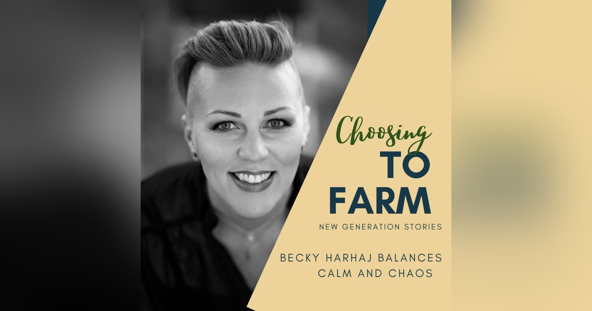 Becky Harhaj Balances Calm and Chaos Becky Harhaj Balances Calm and Chaos