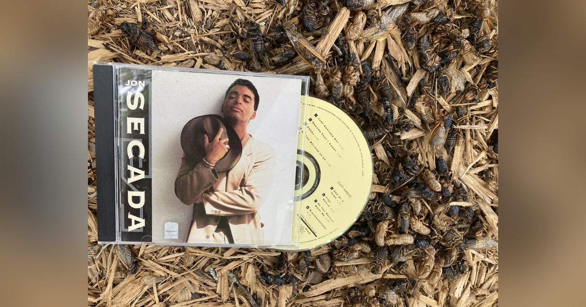 S1 E72 CICADAS - The show with a million guests! S1 E72 CICADAS - The show with a million guests!