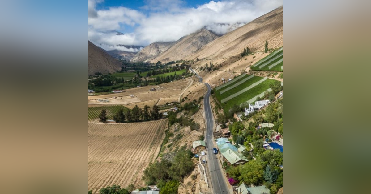 Sibling Rivalry: The Story of Pisco (Part 2) - with Diana Delgado Cornejo Sibling Rivalry: The Story of Pisco (Part 2) - with Diana Delgado Cornejo