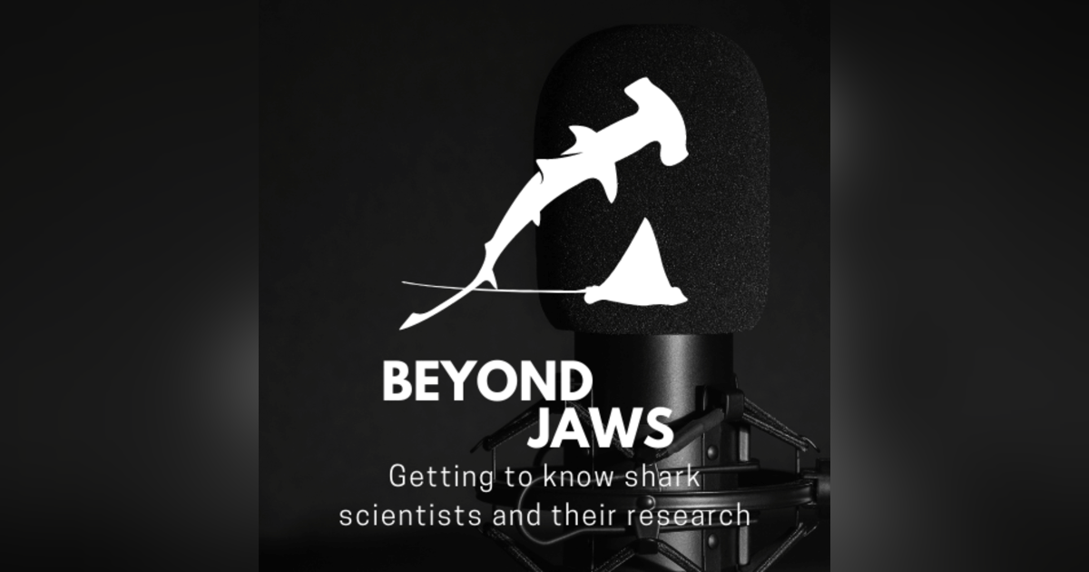 Mick Grant: Discovering River Sharks and Sawfish in Papua New Guinea Mick Grant: Discovering River Sharks and Sawfish in Papua New Guinea