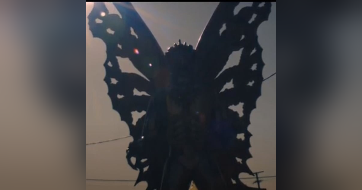 Historias de Miedo Octubre 7 de 2022 UN SER ALADO Historias de Miedo Octubre 7 de 2022 UN SER ALADO