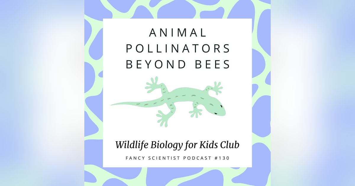 Animal Pollinators Beyond Bees | Wildlife Biology for Kids Club Animal Pollinators Beyond Bees | Wildlife Biology for Kids Club